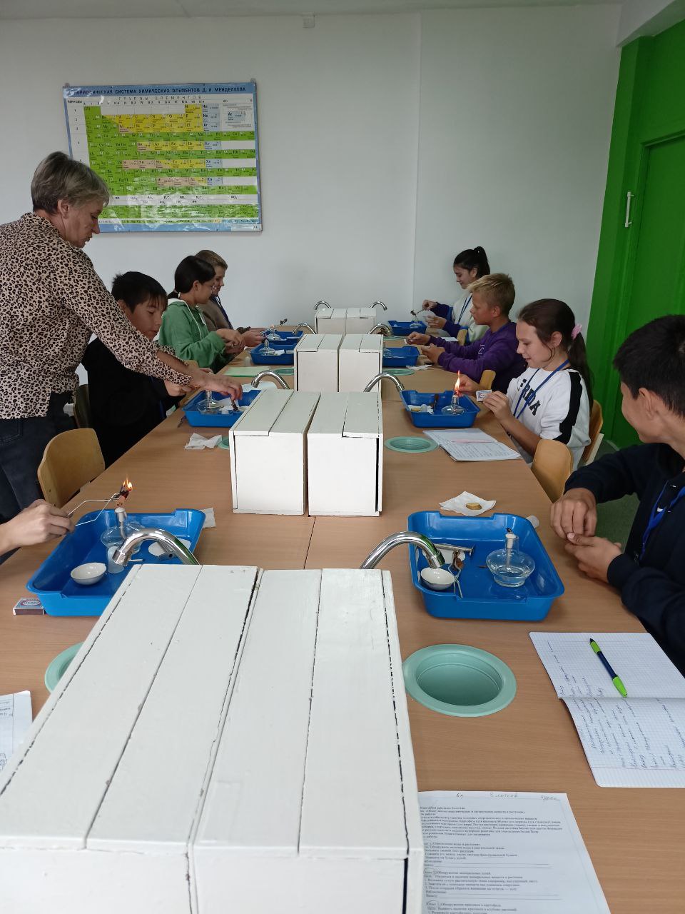 Лабораторная работа. &amp;quot; Обнаружение неорганических и органических веществ в растениях&amp;quot;.